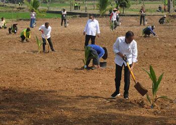 KUNJUNGI JATENG, JOKOWI DORONG PEMANFAATAN LAHAN TIDAK PRODUKTIF