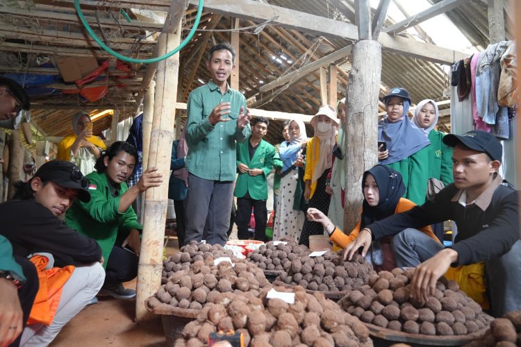 Unissula Fasilitasi Mahasiswa Nusantara Belajar Bisnis Konservasi Lingkungan