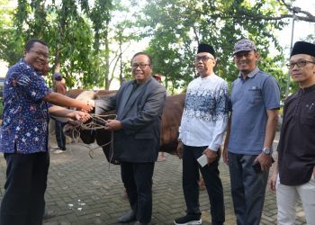 Ibadah Qurban, Ekspresi Syukur dan Ketaatan